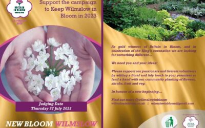 Wilmslow in Bloom 2023